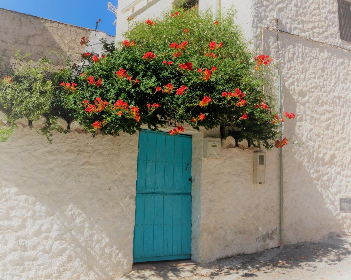 Pinos del Valle Casa Del Patio Bed & Breakfast エクステリア 写真