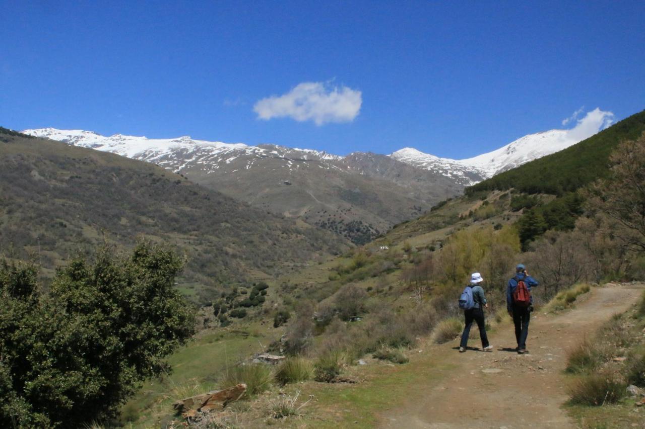 Pinos del Valle Casa Del Patio Bed & Breakfast エクステリア 写真